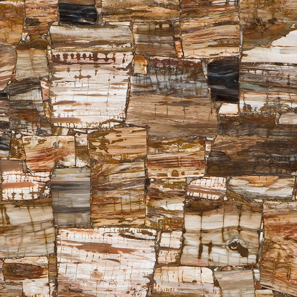 PETRIFIED WOOD